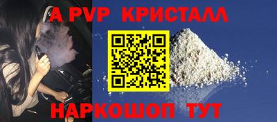 СК Новодвинск