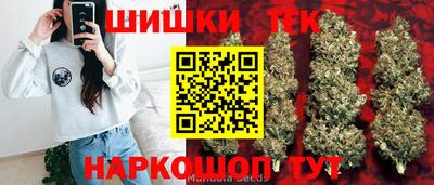 СК Новодвинск