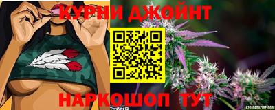 мяу мяу мука Новокубанск