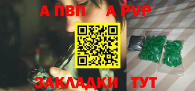СК Новодвинск