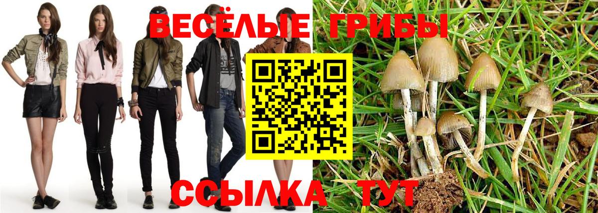 Галлюциногенные грибы мицелий Шали