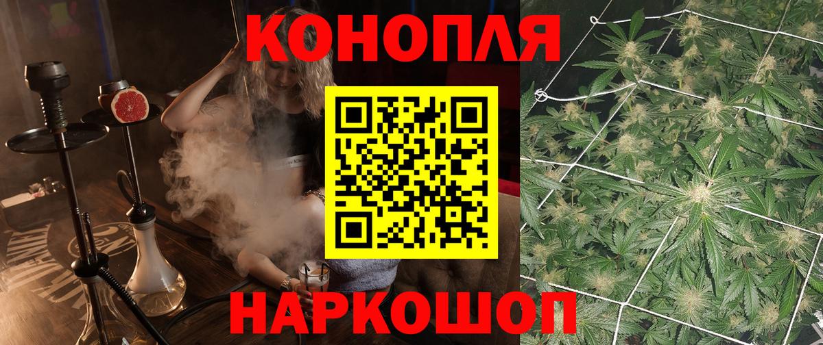 Бошки марихуана планчик Шали